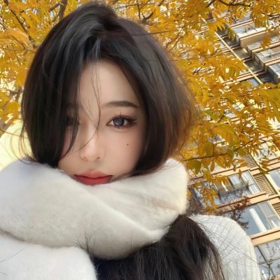 钢铁新娘 封面